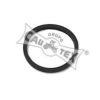 CITRO 96008746 Gasket, thermostat